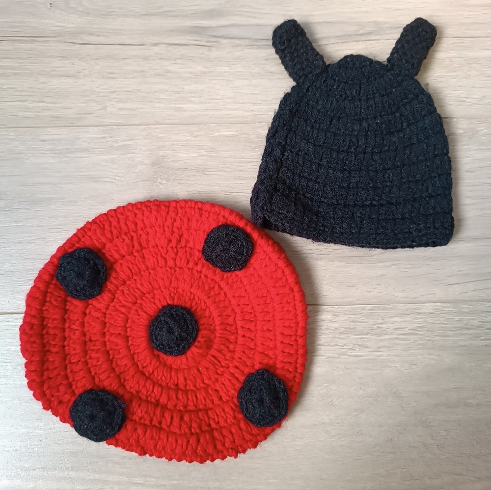 Ladybug Knit Hat and Mat Set